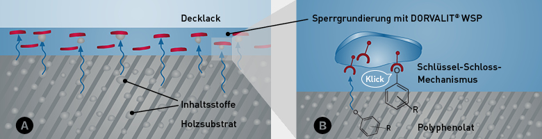 DORVALIT® WSP Details